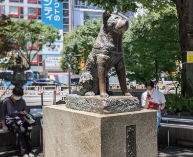 忠犬ハチ公